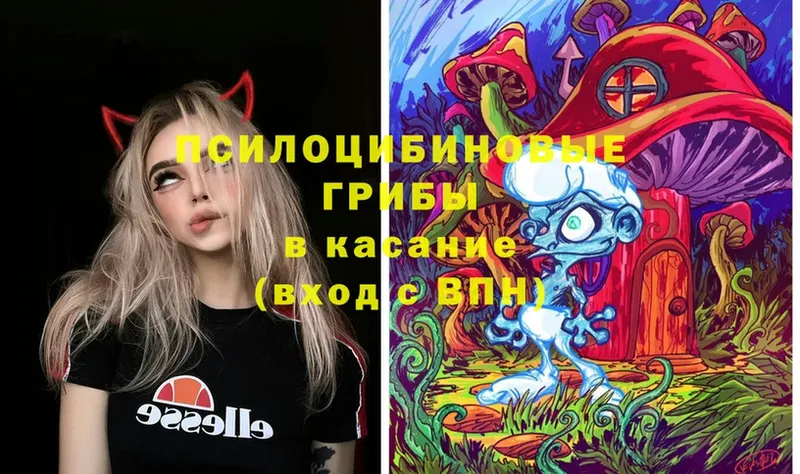 Галлюциногенные грибы MAGIC MUSHROOMS  Москва 